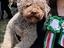 Immagine 5