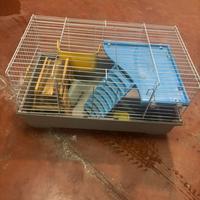 Gabbia per criceti o porcellini d’india