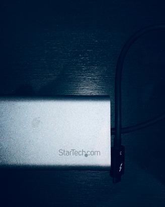 DOCK MONITOR STARTECH