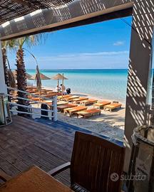 Gallipoli Mancaversa