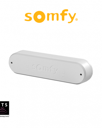 EOLIS 3D WIREFREE RTS Somfy sensore di vibrazione