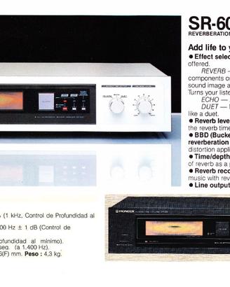 PIONEER – Riverbero + Echo__ 1984