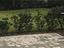 Immagine 22