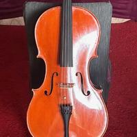 strumento per giovani musicisti: violoncello
