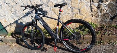 E bike WHISTLE BOSCH performance Cx 500