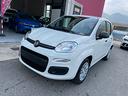 fiat-panda-1-0-firefly-s-s-hybrid