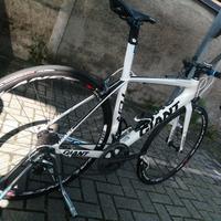 giant TCR Advance