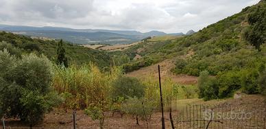 Terreno agricolo con ruderi