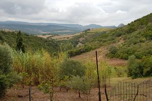 Terreno agricolo con ruderi