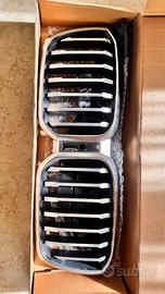 Calandra BMW X3 (G01)