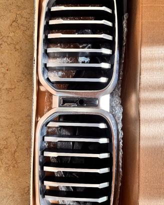 Calandra BMW X3 (G01)