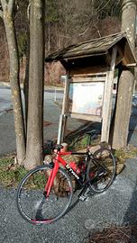 bici da corsa triban
