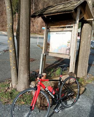 bici da corsa triban