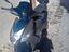 Immagine 2