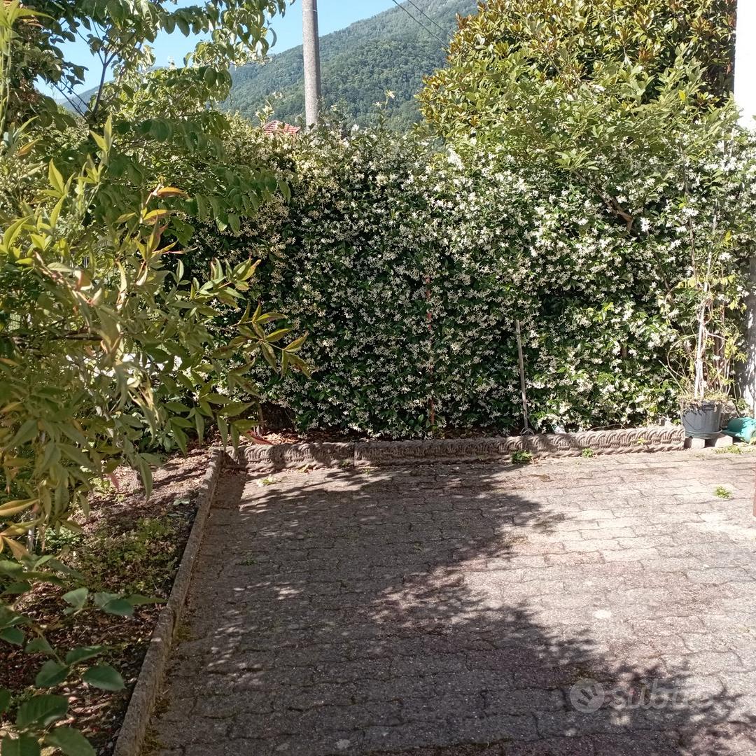 Apartment in Torino, Cenisia, Circoscrizione 3 - Vista 2