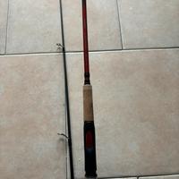 Canna spinning shimano catana