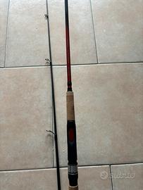 Canna spinning shimano catana