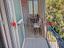 Immagine 9