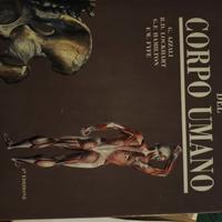 anatomia del corpo umano 