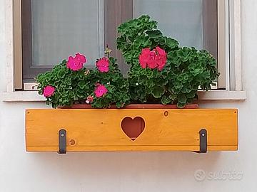 Gerani da balcone