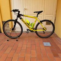 Mountain bike da uomo