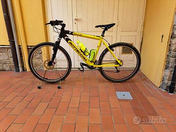 Mountain bike da uomo