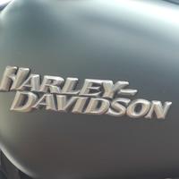 Harley Davidson Street Bob 1600 anno 2010