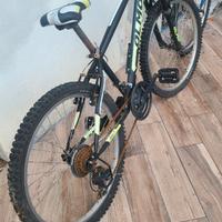 Bici mountain bike olmo