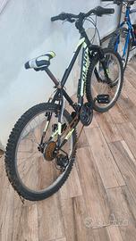 Bici mountain bike olmo