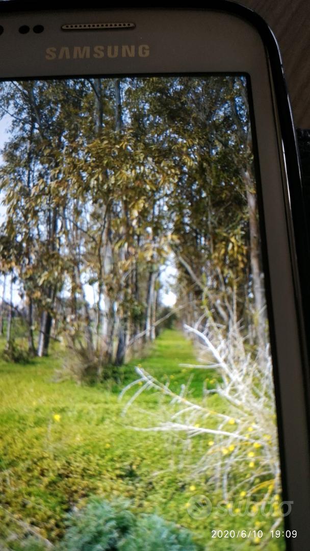 Terreno Uliveto - Vista 2