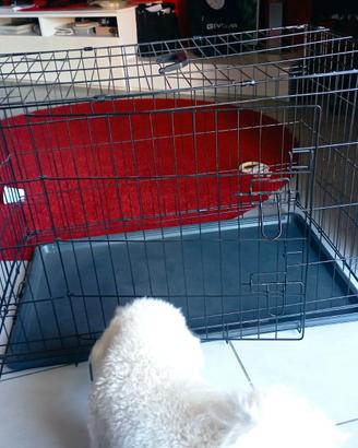 Gabbia di ferro per animali domestici