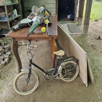 Graziella bambini legnano