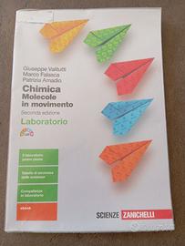 CHIMICA Molecole in movimento