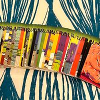 Maxi lotto carte Skifidol panini 2024