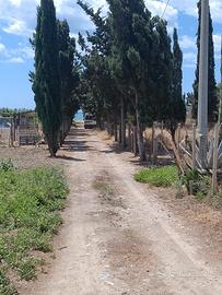 Terreno al mare