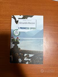 I Promessi Sposi, Alessandro Manzoni