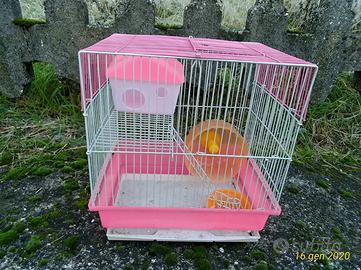 Gabbietta per criceti