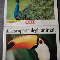 Album figurine del 1993 A&O