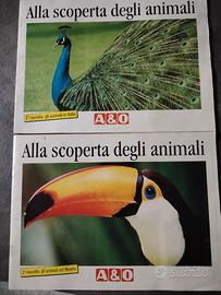 Album figurine del 1993 A&O