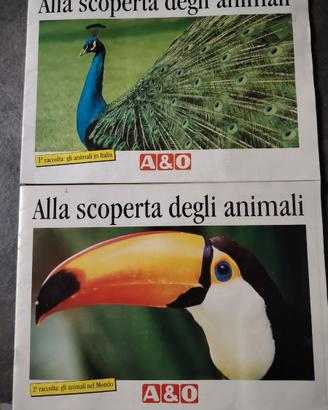 Album figurine del 1993 A&O