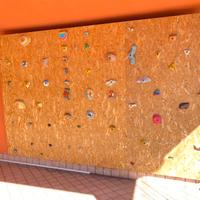 Pannello/parete arrampicata