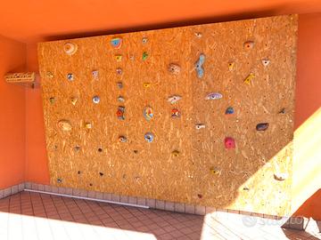 Pannello/parete arrampicata