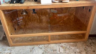 Terrario completo 120x60x60 Pogona / Rettili