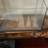 Teca x rettili e tartarughe