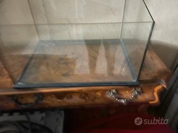 Teca x rettili e tartarughe