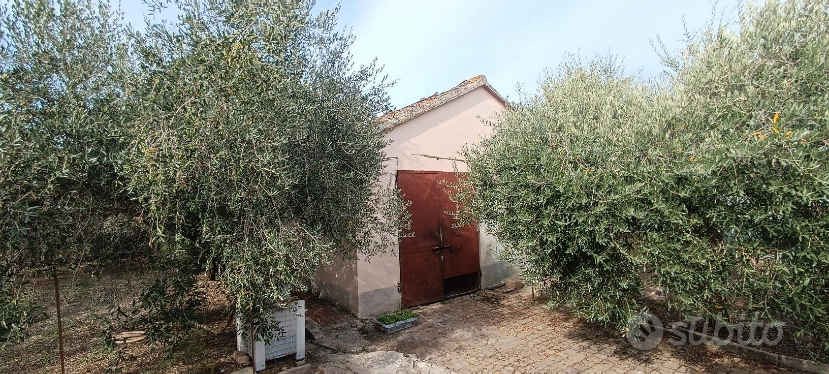 Appartamento – AN - Vista 3
