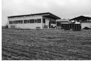 RGE 20/2025 Tribunale Verona