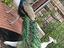 Immagine 2