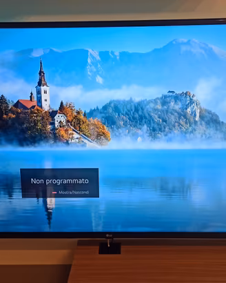 TV LG 55 pollici 4K Ultra HD SMART TV 