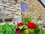 Immagine 9